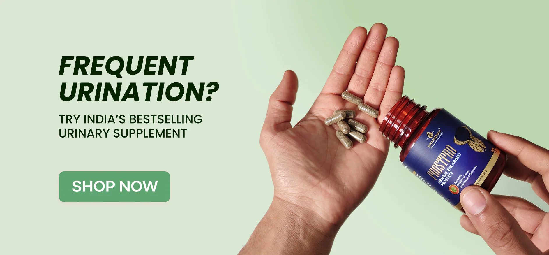 Timeless Healing, Modern Wellness